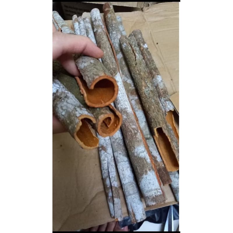 Quế Thanh Văn Yên - Yên Bái Chuẩn Chính Hiệu, Cực Thơm, Làm Gia Vị