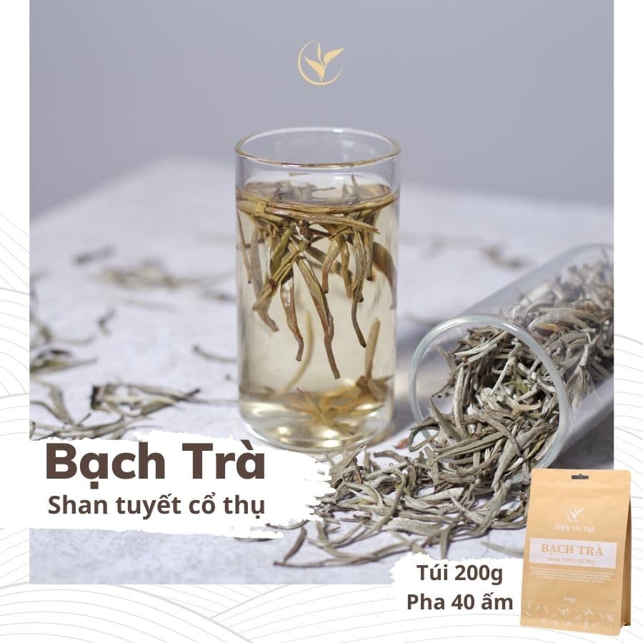 Bạch Trà Shan Tuyết Cổ Thụ Thiện Tài, Búp Trà