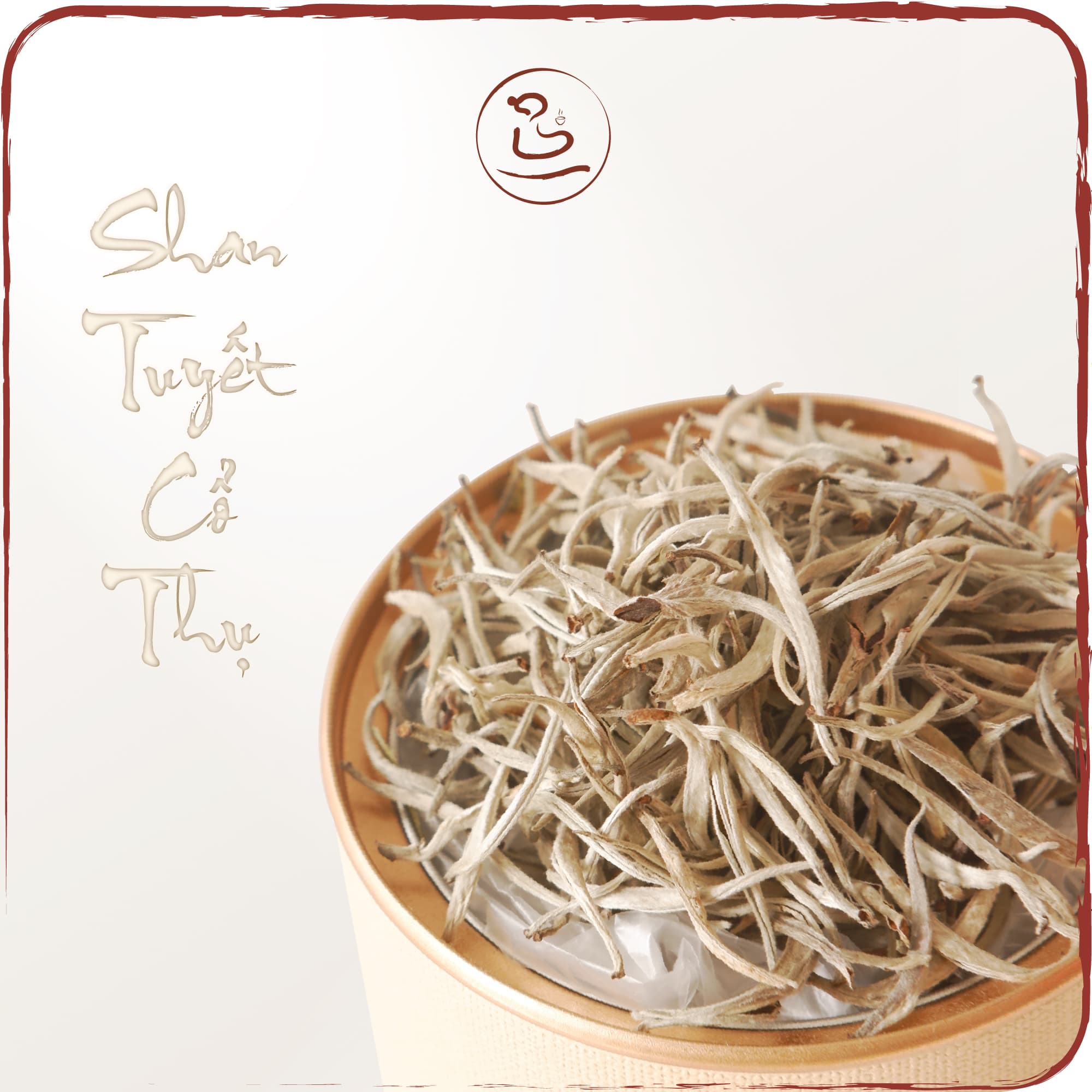 Bạch Trà Shan Tuyết Cổ Thụ TRÀ GIA, Búp Tươi