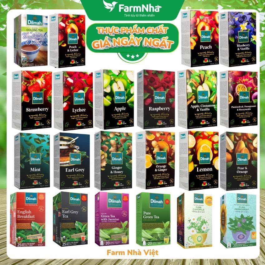 Dilmah Premium Ceylon Tea Túi Lọc