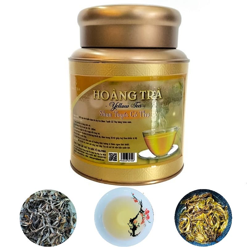Hoàng Trà Shan Tuyết Cổ Thụ Suối Giàng Yên Bái