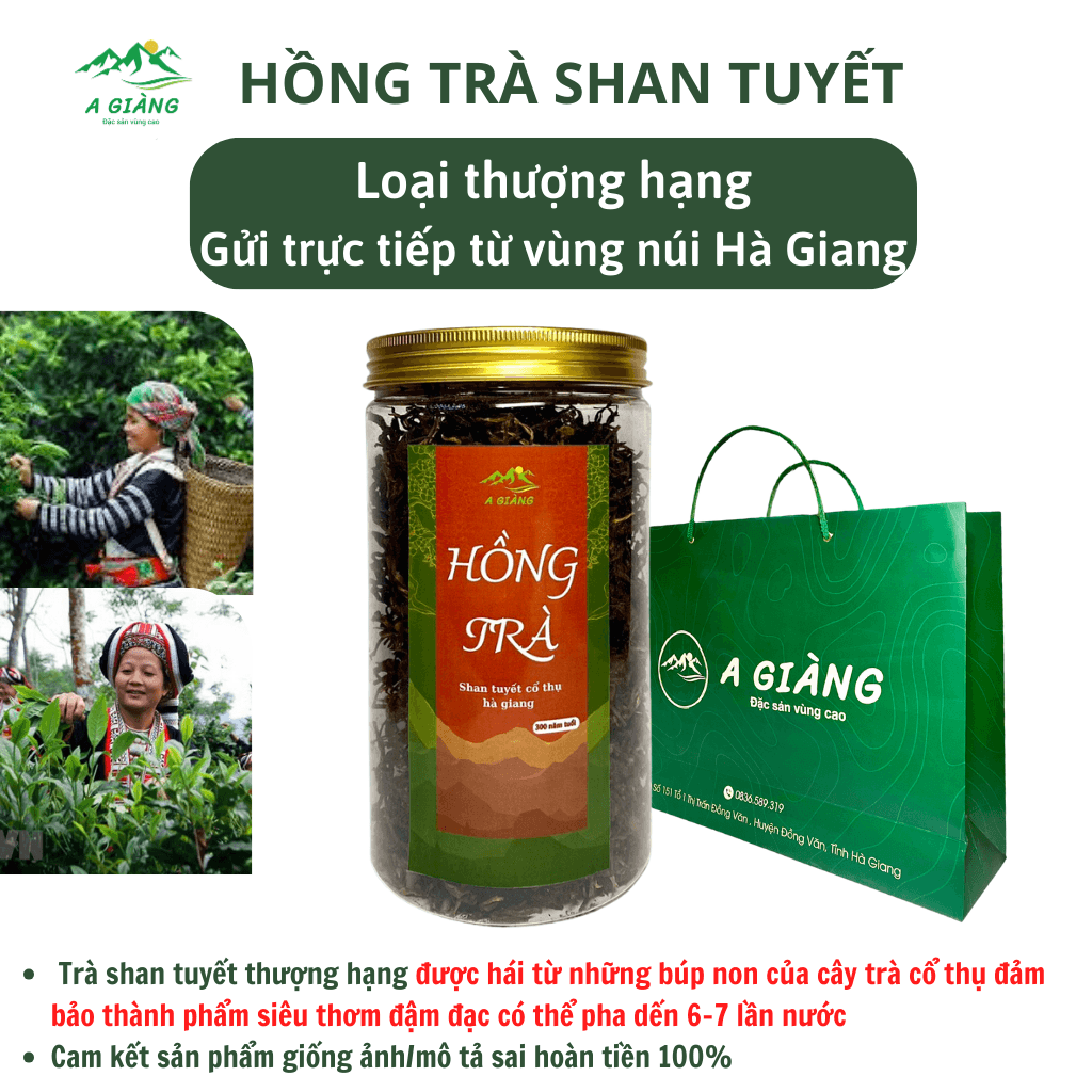 Hồng Trà Shan Tuyết Cổ Thụ Hà Giang, 1 Tôm 2 Lá