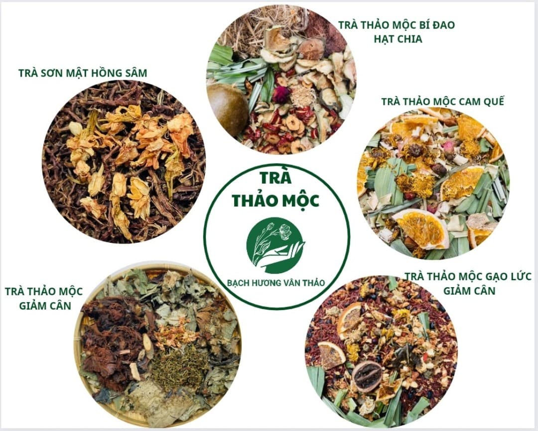 Trà Sâm Bí Đao / Sâm Rong Biển / Cam Sả Quê
