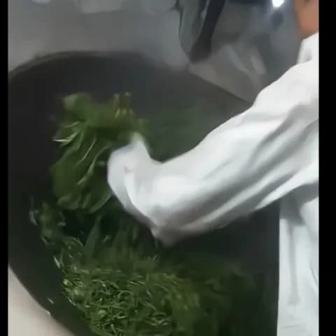 Trà shan tuyết cổ thụ Hà Giang, gói 500g