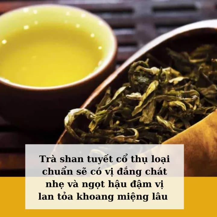 Trà shan tuyết cổ thụ Hà Giang, gói 500g — фото 5