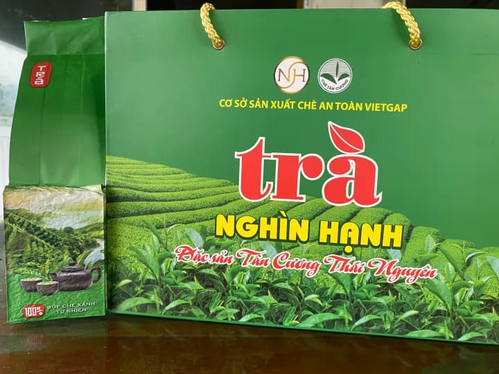 Trà xanh Tân Cương nguyên chất 100%, 100g